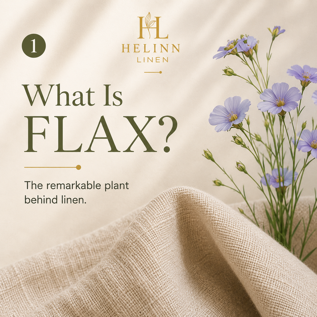 Flax plant with blue flowers growing in a European field, showcasing the natural fiber used to create premium linen fabric. Educational image about the origin of linen and sustainable natural textiles.