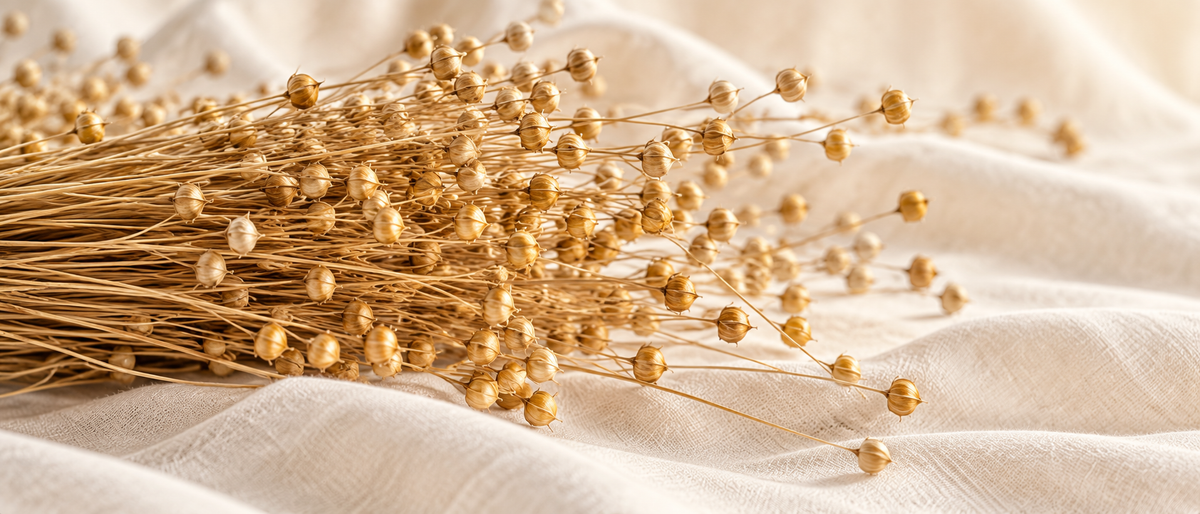 A bouquet of dried golden flowers with delicate stems and small round seed heads, arranged on soft white textured fabric.